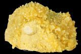 2.6" Fluorescent, Yellow Calcite Crystal Cluster - South Dakota - #129704-1